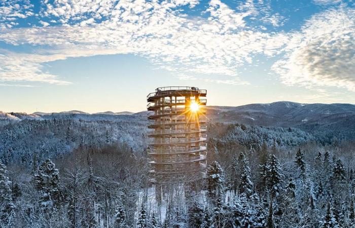 Sentier des Cimes: night stroll with poutine and tartiflette in the air