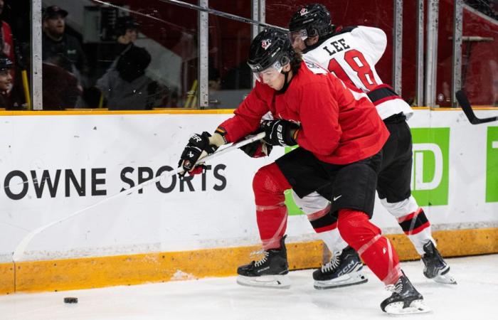 Championnat mondial de hockey junior | Dix prospects repêchés à suivre