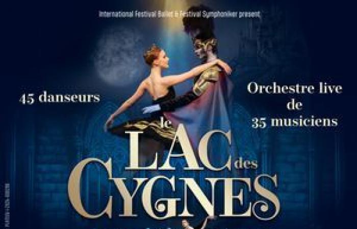 Swan Lake – Maison De La Culture – Clermont-Ferrand, 63000