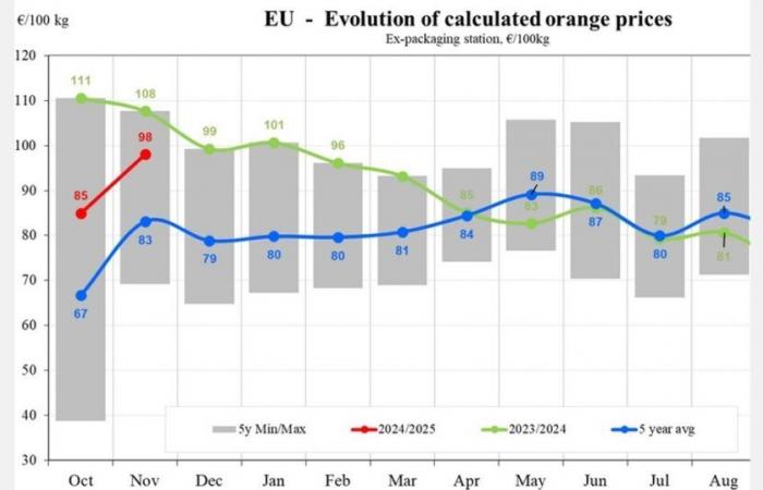 Les prix des oranges fluctuent, avec une baisse de 41 % en Grèce et une hausse de 9 % en Italie en novembre 2024.