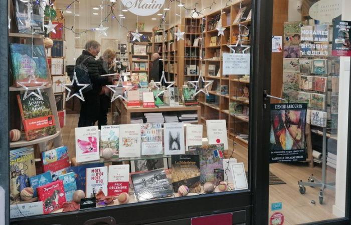 Envie d’offrir un livre pour Noël ? Les libraires de Béziers vous ouvrent leur univers