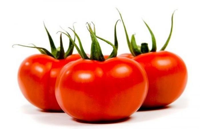 Nouvelles serres pour Stoffels Tomaten (Belgique)