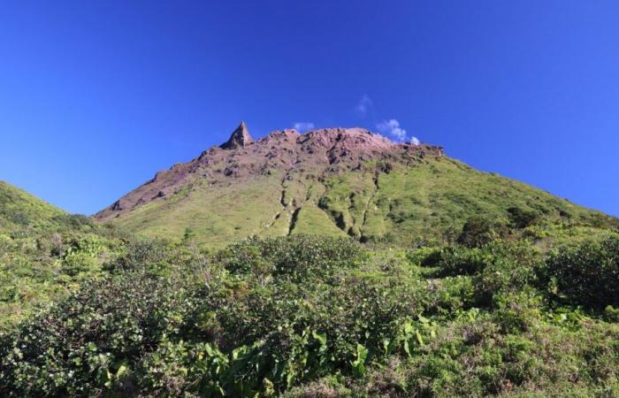 Les entrailles du volcan de la Soufrière en Guadeloupe cartographiées en 3D