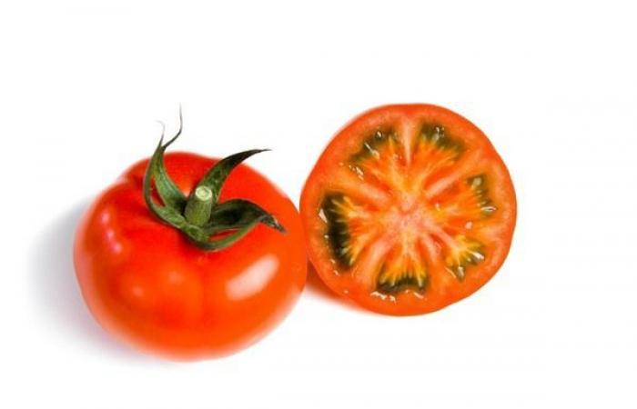 Nouvelles serres pour Stoffels Tomaten (Belgique)