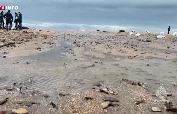 le volume de sol pollué par une marée noire pourrait atteindre 200 000 tonnes