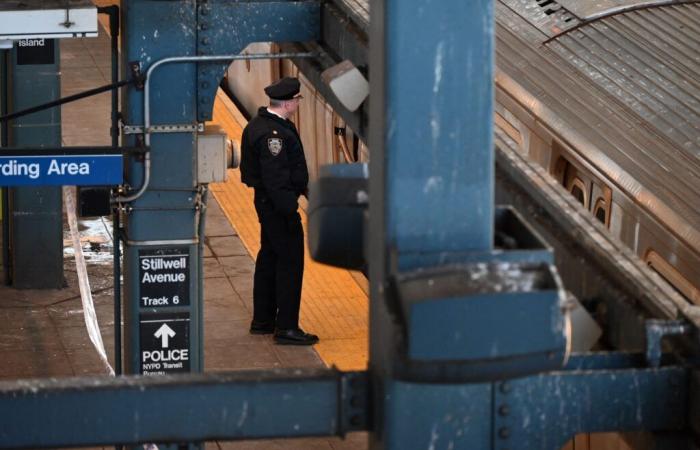 Un homme arrêté pour avoir brûlé vive une femme endormie dans le métro