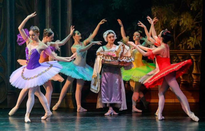 Jeu. Gagnez vos places pour le ballet « La Belle au Bois Dormant » à Toulouse