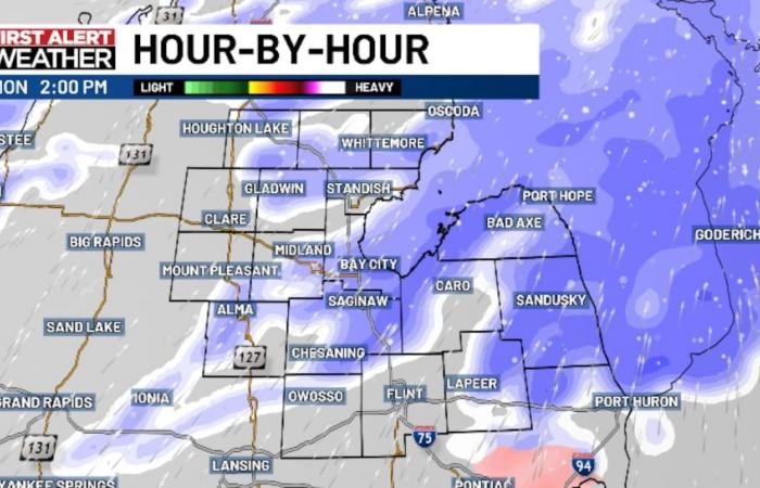 La neige revient lundi et des avis sont émis pour certaines parties du Mid-Michigan