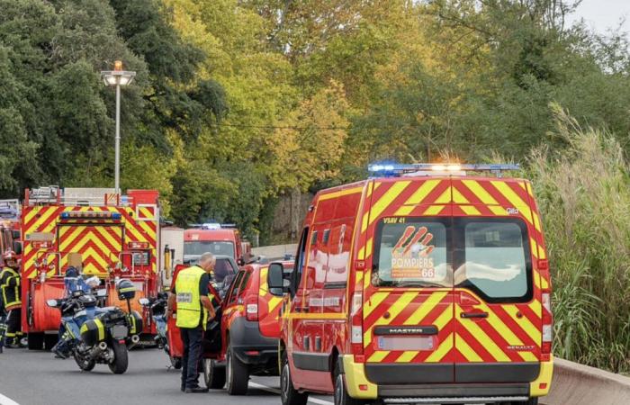 un homme meurt écrasé par un arbre