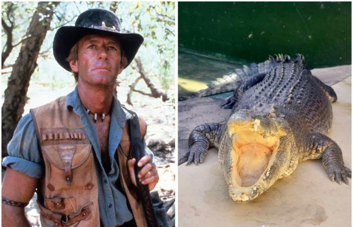 La star du film “Crocodile Dundee” est décédée à plus de 90 ans