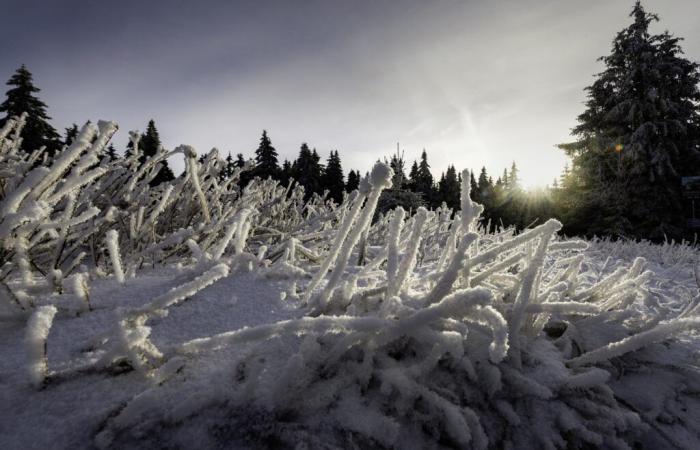 JT de 12h30 – Météo en France : fortes chutes de neige attendues, les stations s’approvisionnent