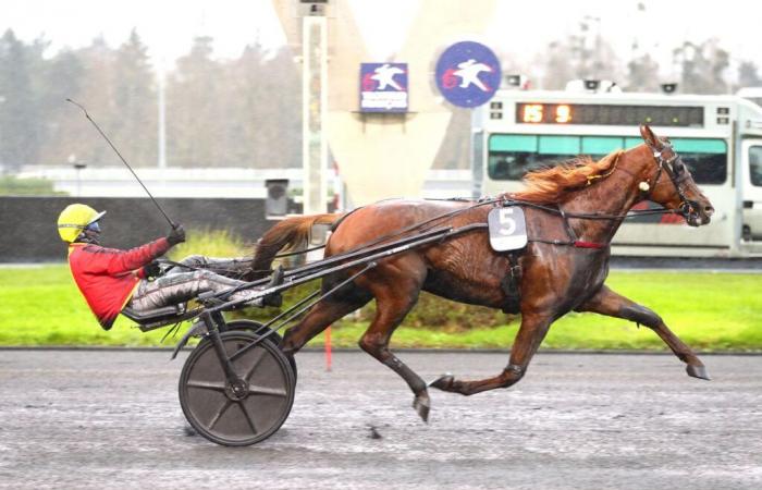 Prix ​​de Bourgogne America Races Q5 2024 : Josh Power sans pression