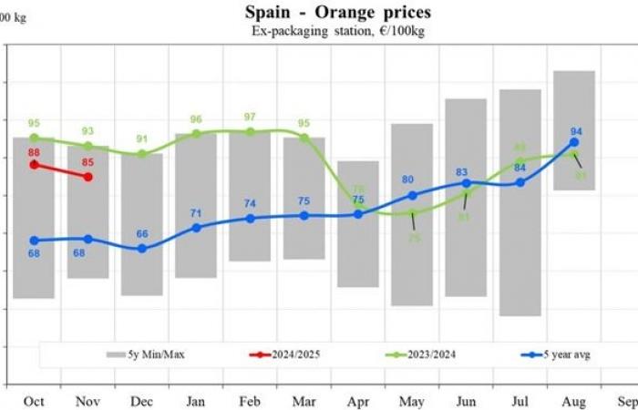 Les prix des oranges fluctuent, avec une baisse de 41 % en Grèce et une hausse de 9 % en Italie en novembre 2024.