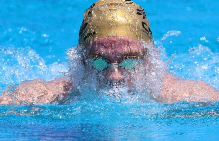 Léon Marchand termine 2024 avec une dernière victoire