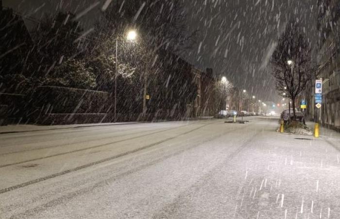 les enfants, poussés sur leur traîneau par notre journaliste, profitent de la neige dans les Hautes-Fagnes