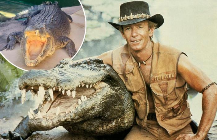 Burt, le reptile de “Crocodile Dundee”, est mort à 90 ans