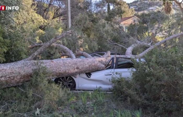 Le sud de la France balayé par des vents violents, un mort à Perpignan