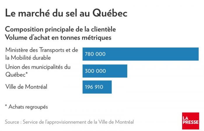 Planète bleue, idées vertes | Le sel de déglaçage, ennemi à Saint-Hyacinthe