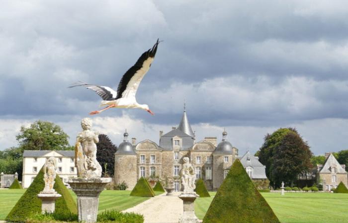 Cette photo prise au domaine de La Bourbansais a remporté un prix régional