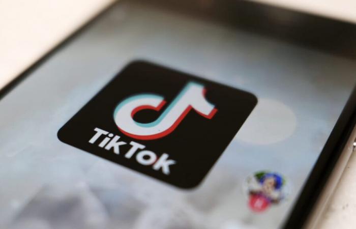 L’Albanie bloque l’accès à TikTok pendant un an dans tout le pays : voici pourquoi