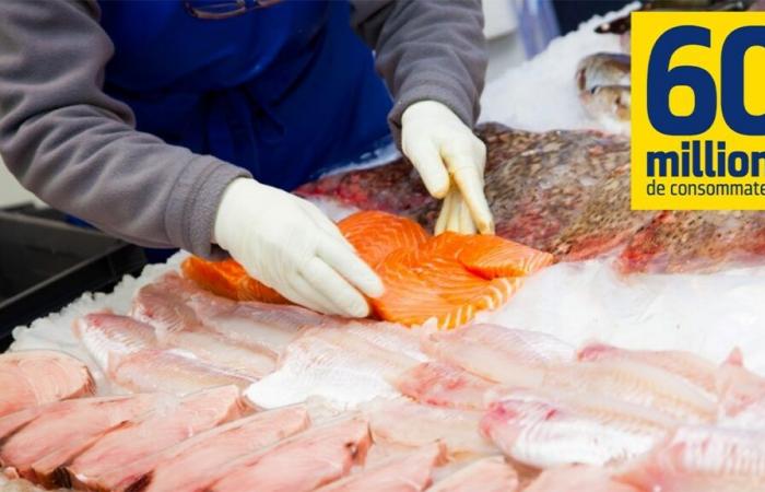 Le meilleur supermarché pour acheter du poisson de qualité au meilleur prix selon 60 millions de consommateurs