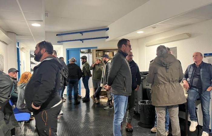 “Les agriculteurs corses sont traités différemment”, la FDSEA occupe les locaux de la DDTM à Bastia la veille de Noël