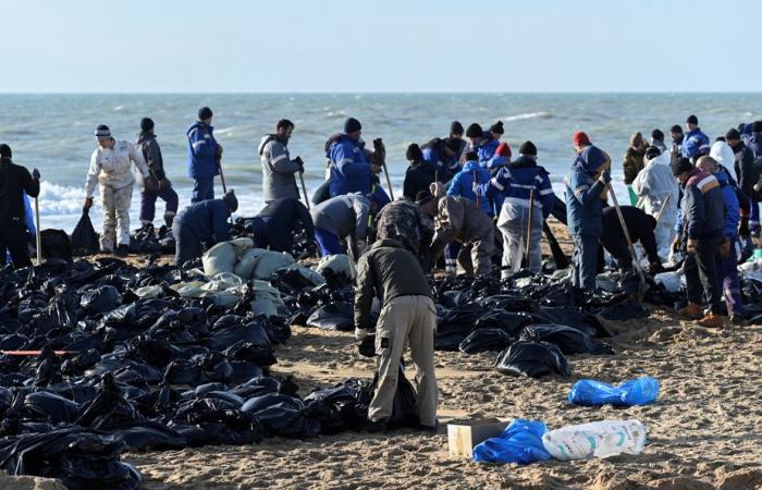 Le volume de sols pollués par une marée noire pourrait atteindre 200 000 tonnes