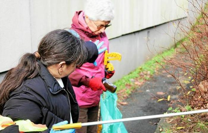 à Quimper, le quartier Penhars à la chasse aux poubelles