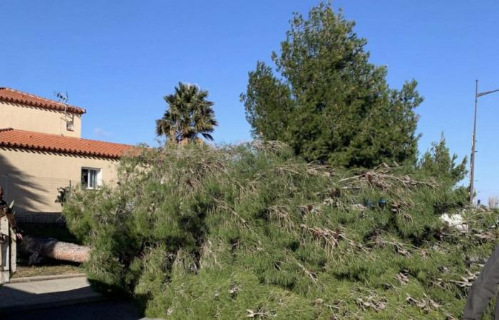 La tempête provoque des dégâts dans les Pyrénées-Orientales : les pompiers mobilisés