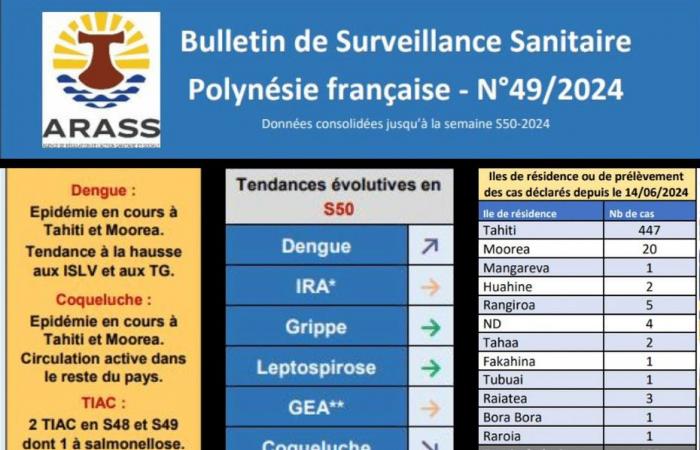 la dengue en hausse aux Îles sous le Vent et aux Tuamotu Gambier