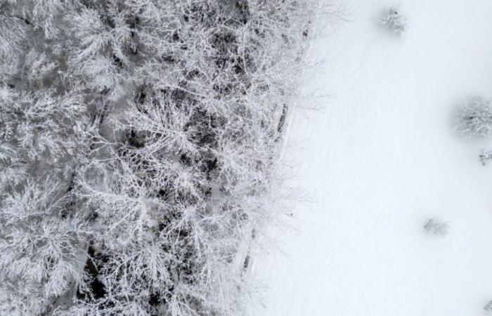 La neige perturbe le trafic routier et ferroviaire en Suisse