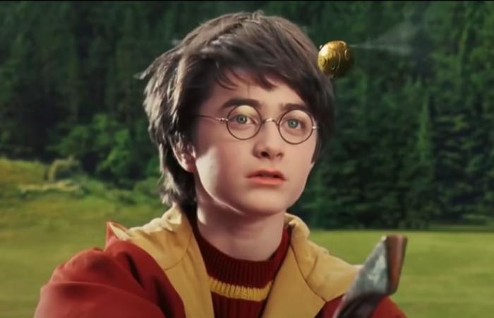 Harry Potter, les erreurs des films auxquelles la série TV doit absolument remédier