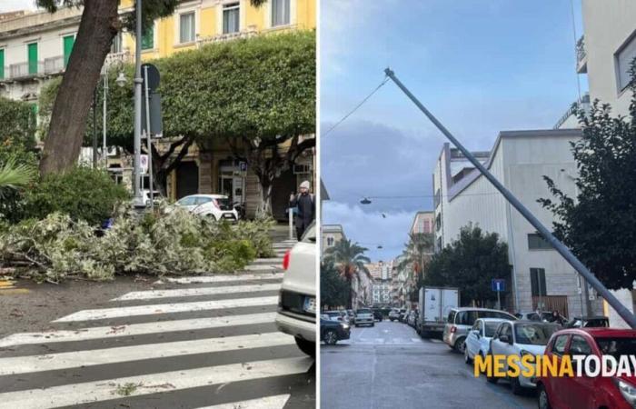 Vent fort et dégâts à Messine et dans la province, arbres et poteaux tombés à la périphérie et au centre