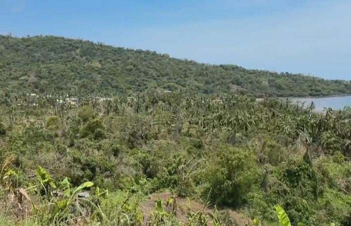 le village de Mbouini miraculeusement épargné, des cabanes de bord de mer à la forêt