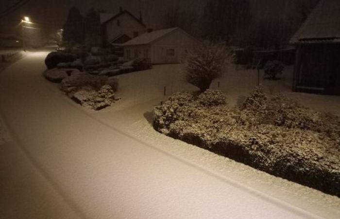 les enfants, poussés sur leur traîneau par notre journaliste, profitent de la neige dans les Hautes-Fagnes