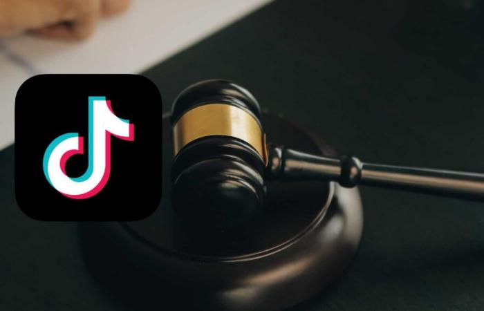 TikTok interdit en Europe ? Il y a ceux qui ont déjà pris la décision