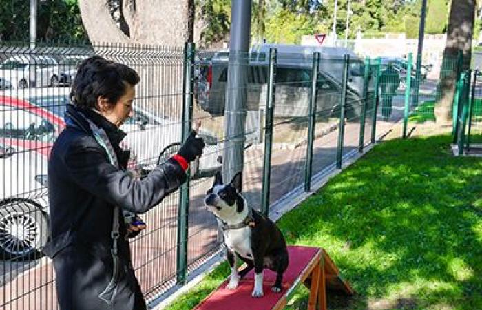 Cannes inaugure son premier parc canin, rue du Lys