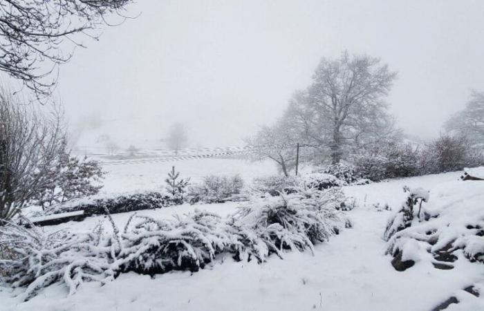 La tempête Enol recouvre de neige ces communes du Rhône