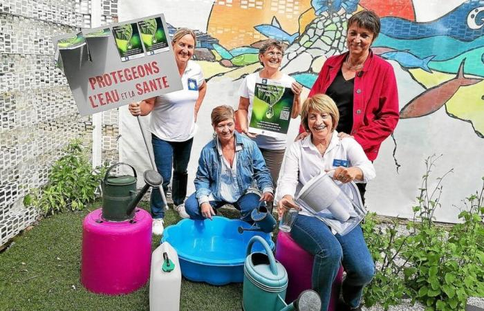 Privée de subvention par Lorient agglo, l’association Tarz Heol de Ploemeur conteste