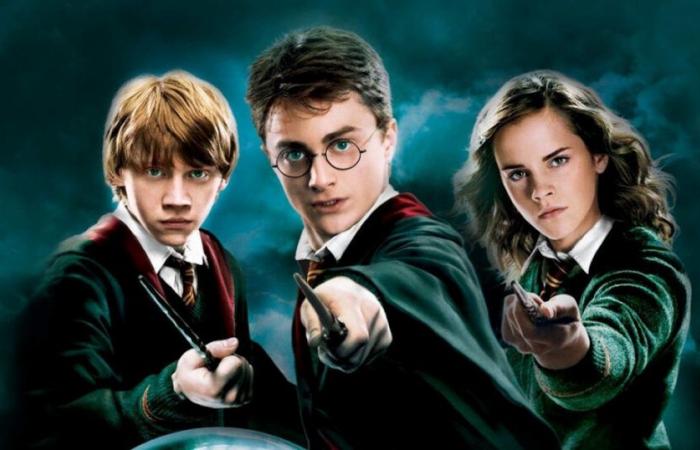 Harry Potter, les erreurs des films auxquelles la série TV doit absolument remédier