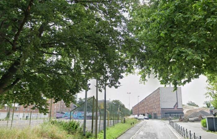 L’accès à cette rue de Lille définitivement fermé aux véhicules à partir de ce lundi : voici pourquoi