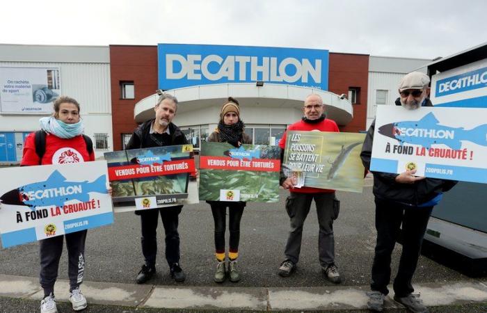 Montauban. Paz dénonce la vente de poissons vivants chez Decathlon