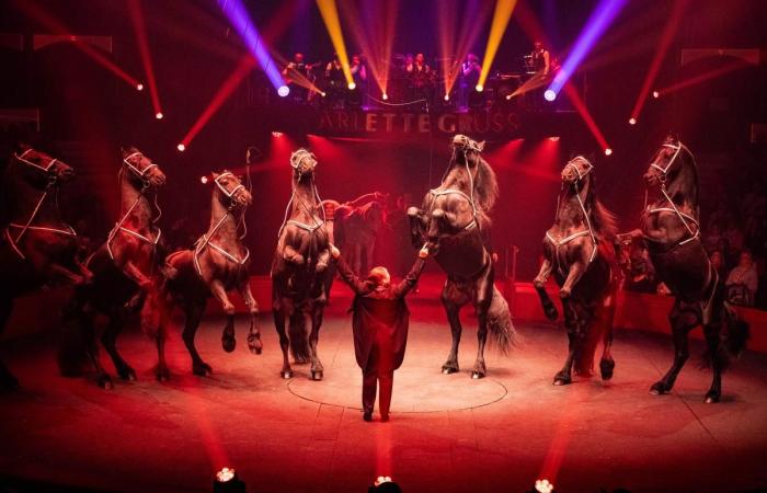 Le chapiteau du cirque Arlette Gruss s’installe à Bordeaux pour un mois