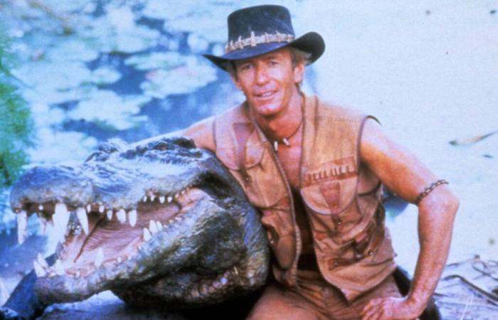 Adieu à « Burt », le crocodile du film « Mr. Crocodile Dundee » décède à l’âge de 90 ans