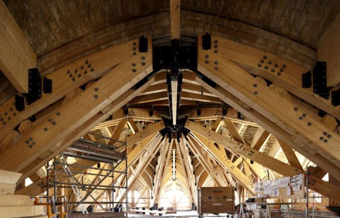 Reconstruire Notre-Dame de Paris, l’oeil des photographes au cœur du chantier