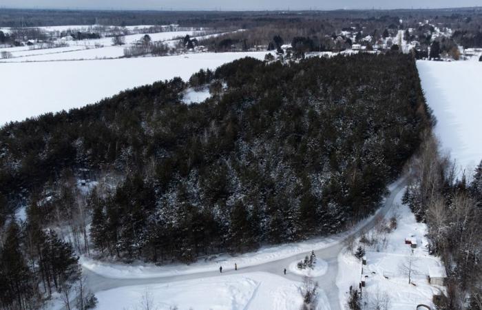 Changement climatique | Les jours propices au patinage en plein air fondent