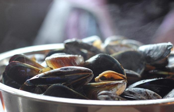 Leclerc, Intermarché, Auchan… Des moules rappelées dans toute la France, elles contiennent des salmonelles