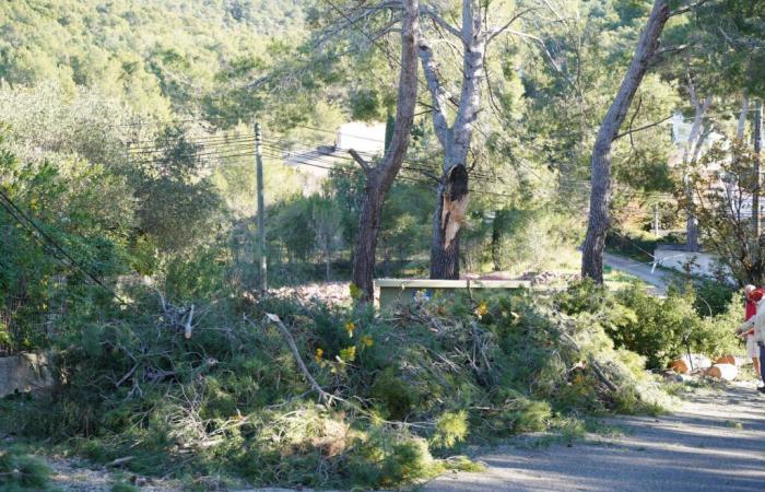 Carqueiranne panse ses blessures après les fortes rafales de vent