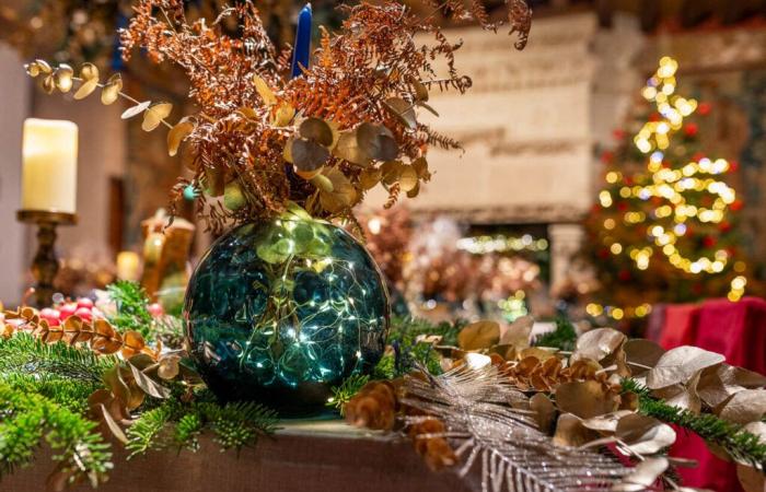 Indre-et-Loire. Contes et ateliers de Noël dans ce château situé près de Tours