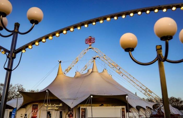 Le chapiteau du cirque Arlette Gruss s’installe à Bordeaux pour un mois